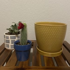 Modern Decorative Ceramic Plan Pot